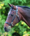 Plain Inhand Bridle